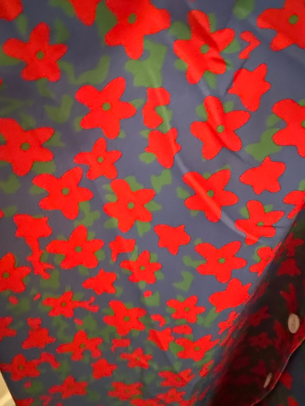 Women’s Floral Button-Up Blouse in Blue & Red florals-M - Picture 6 of 7